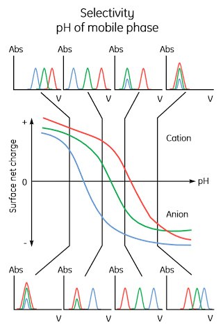 Effect of pH on protein elution patterns