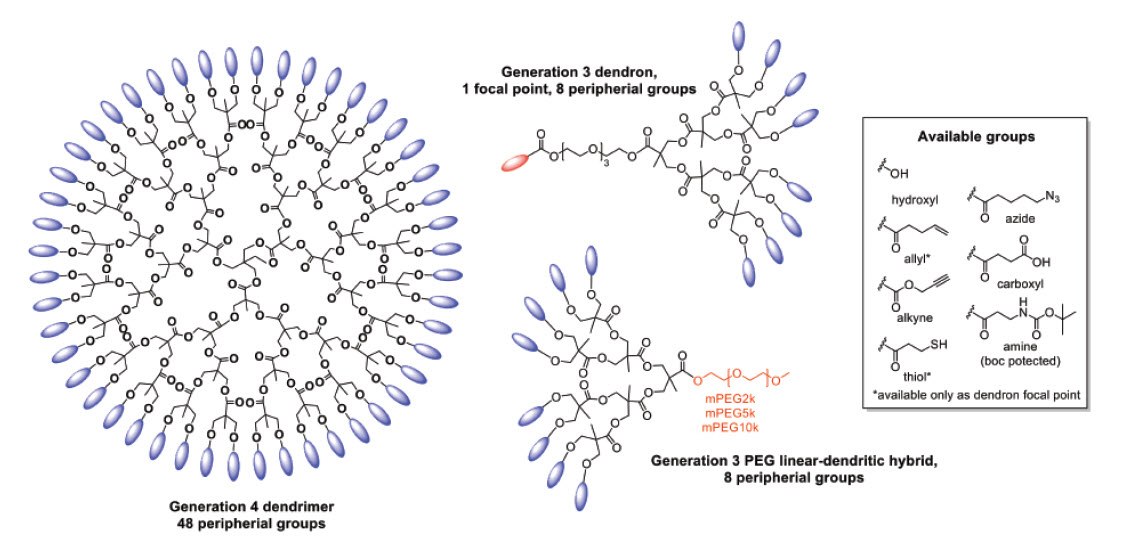 functional bis-MPA based dendritic structures