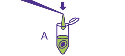 Beginning of the In-Solution Deglycosylation workflow starting with aliquoting the glycoprotein sample.