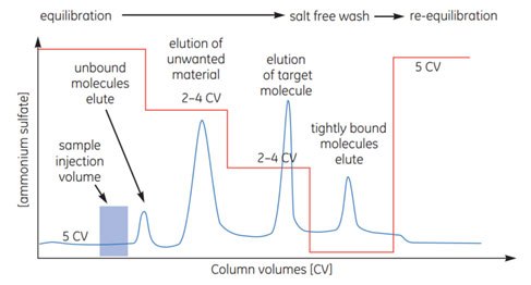 HIC step elution