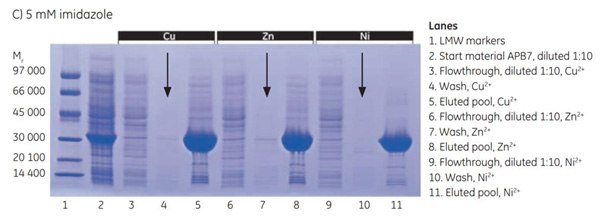 5 mW imidazole