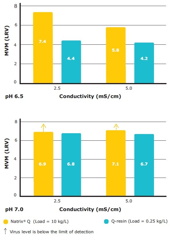 Comparison of MVM clearance by Natrix® Q chromatography membrane and a modern Q-resin