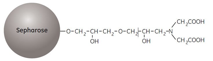 Partial structure of Chelating Sepharose High Performance and Chelating Sepharose Fast Flow.