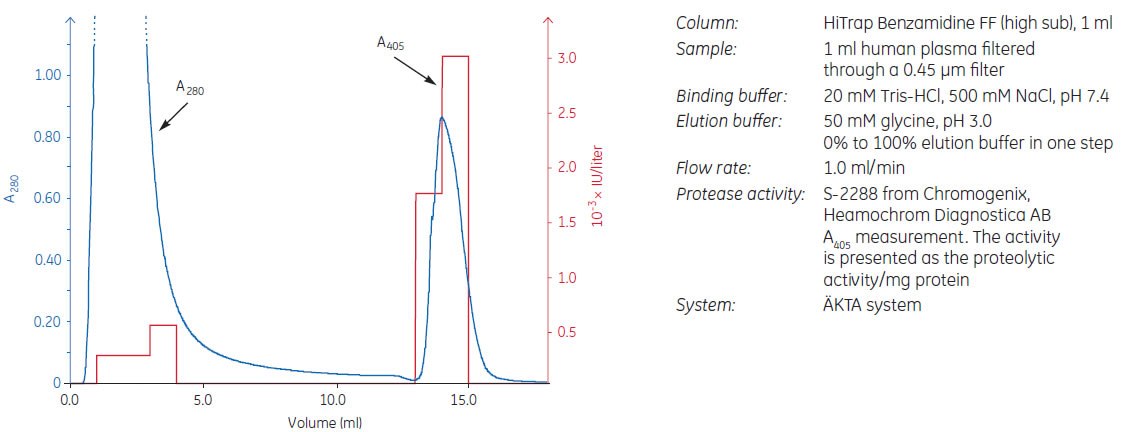 Removal of trypsin-like serine proteases from human plasma using HiTrap® Benzamidine FF (high sub), 1 ml.