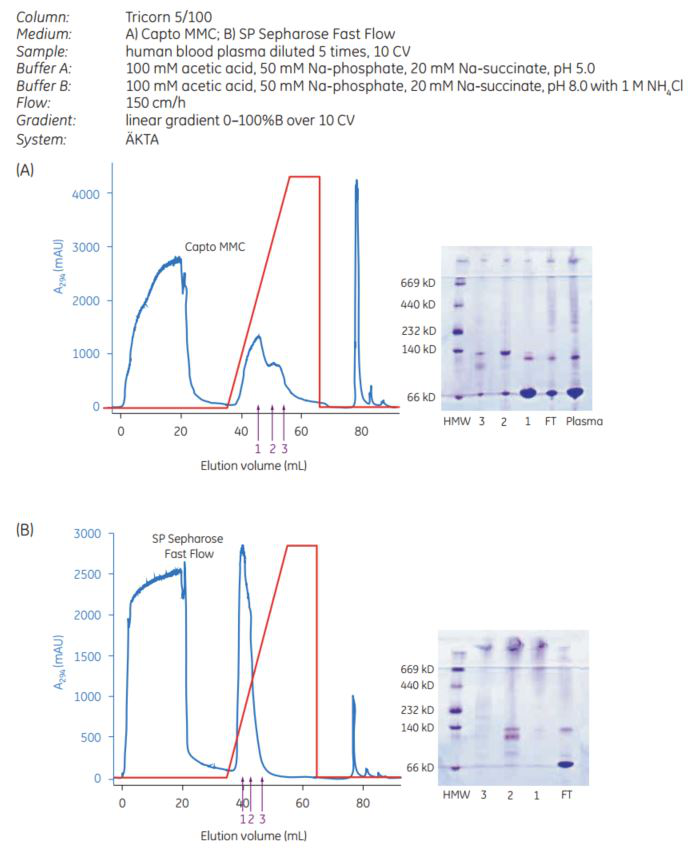 Capto MMC and SP Sepharose Fast Flow