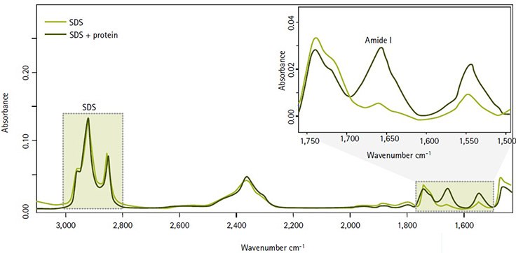 Measuring protein concentration without interference from SDS, thanks to nonoverlapping IR signals in the Direct Detect spectrometer.