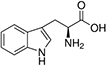 Tryptophan, Trp, W