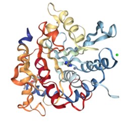 Structure of glycosylated human glutaminyl cyclase