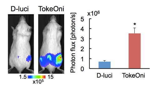 High-sensitive in vivo imaging of bone metastasis using TokeOni