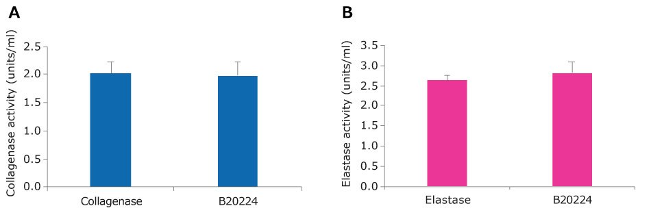 Bar graph of collagenase activity. Collagenase and the Collagenase-Elastase blend have an activity of around 2 units/ml. This is not statistically different as per a t test≤ 0.01. B. Bar graph of elastase activity. Collagenase and the Collagenase-Elastase blend have an activity of around 3 units/ml. This is not statistically different as per a t test≤ 0.01.