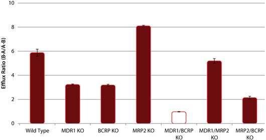 野生型(WT)和P-gp、BCRP和MRP2敲除(KO)细胞系中西咪替丁的外排