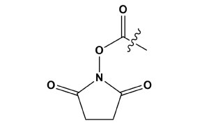 Black line drawing of NHS ester showing a five-membered ring with nitrogen, two carbonyls, and an ester group with a wavy line above.