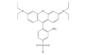 Black-on-white structure shows fused aromatic rings, charged nitrogen, a sulfonate group, and a blue R group for variable substitution.
