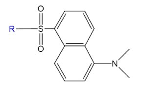 Structure shows fused aromatic rings with a sulfonyl group, alkyl-linked nitrogen, and a blue R group for variable substitution.