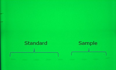 TLC plate development