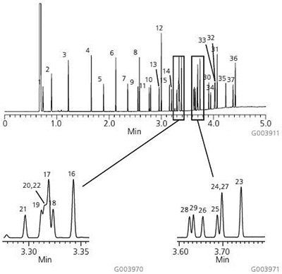 Graph of 37-Component FAME Mix on the Equity-1.