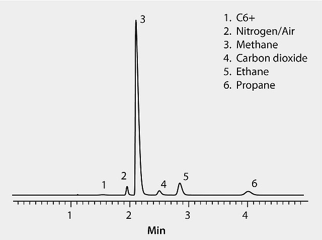 GPA Method 2261: GC Analysis of Natural Gas on a Packed Column (GPA 3-Column Set)