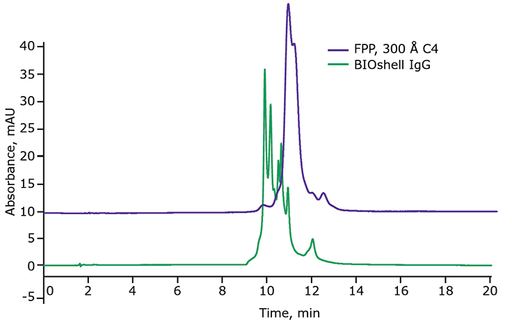 Graph analyzing denosumab, an IgG2 antibody, by reverse-phase chromatography (RPC). Two overlaid chromatograms are displayed: one labeled ‘FPP, 300 Å C4’ in green and the other labeled ‘BioShell IgG’ in purple. Both chromatograms have prominent peaks around the 8-minute mark. The x-axis is labeled ‘Time, min’ ranging from 0 to 20 minutes, and the y-axis is labeled ‘Absorbance, mAU’ ranging from -5 to 45 milli-Absorbance Units (mAU). This comparison highlights the separation profiles of the two different RPC columns for denosumab.