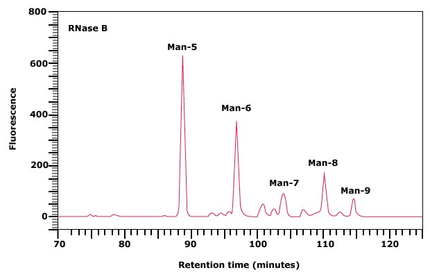 Normal phase HPLC profile of the 2‑AB labeled N-linked glycan library obtained from RNase B