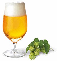 A clear glass of beer with a frothy head on top, next to a small bunch of green hops with leaves on a white background. The beer is golden in color, suggesting it may be a pale ale or lager, and the hops are likely used as an ingredient in the brewing process.