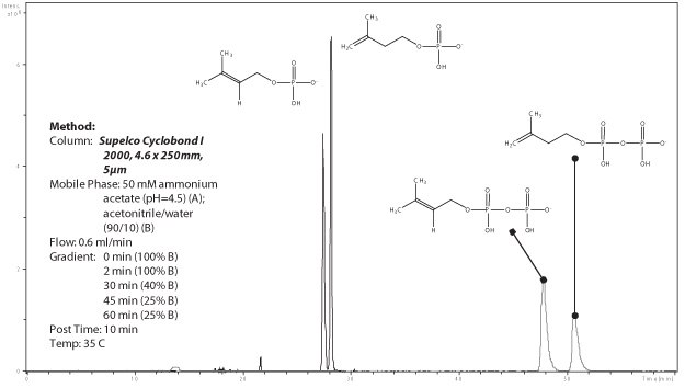 Separation of IP, DMAP, IPP and DMAPP by chiral chromatography with a cyclodextrine phase