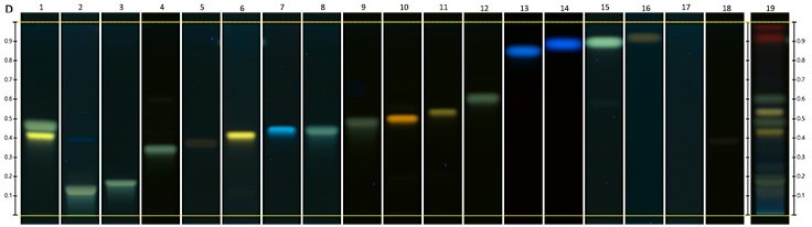 Chromatograms under UV