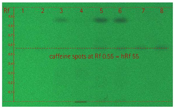 HPTLC plate with caffeine standard and energy drink samples under UV light (254 nm).