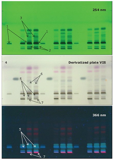 Identification of powdered black pepper by HPTLC as described in USP40-NF35.