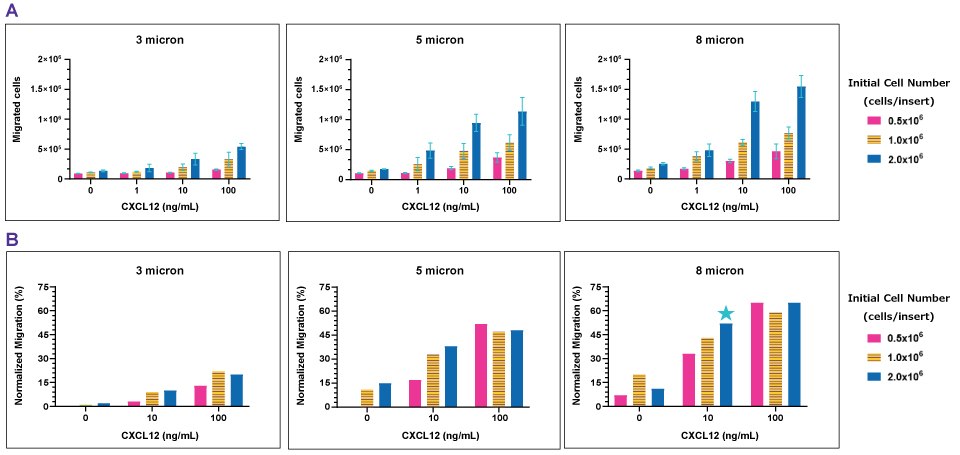 Quantification of the number of migrated Jurkat cells as the concentration of CXCL12 increases