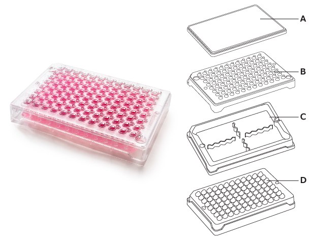 Product image of Millicell 96-well plate with media in it on the left. On the right, a diagram of the four components of the plate.