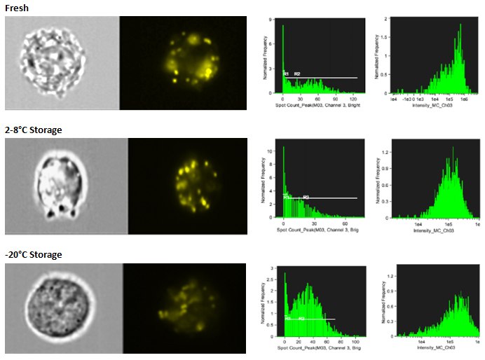 Exosome storage stability