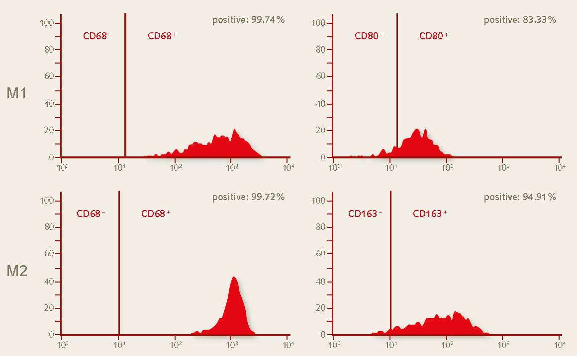 Flow cytometry analysis of day 10 M1 and M2 macrophages generated in the PromoCell Macrophage Generation Medium DXF.