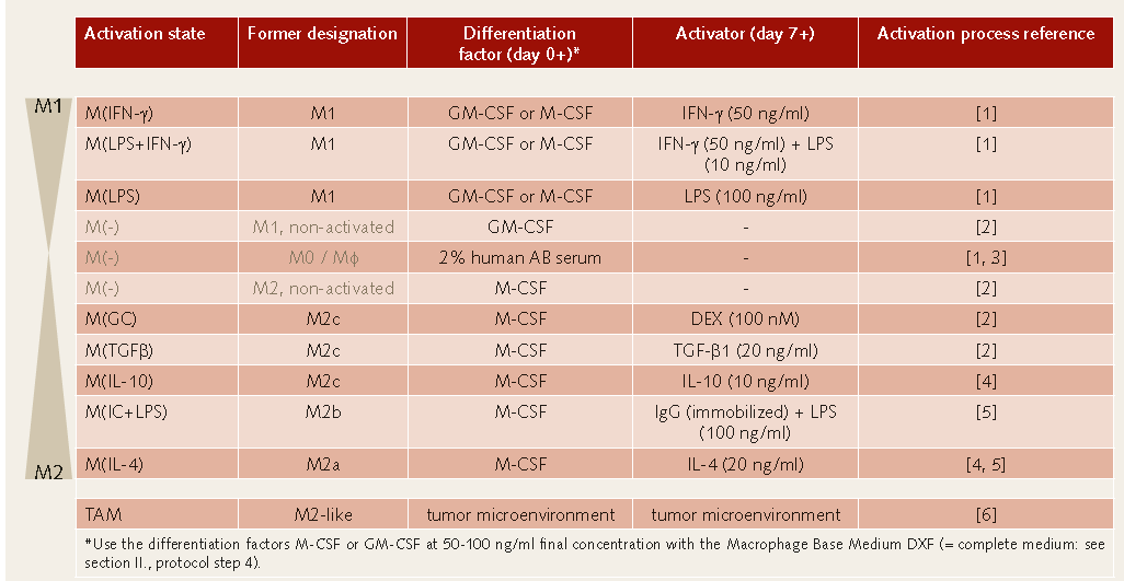 巨噬细胞激活表