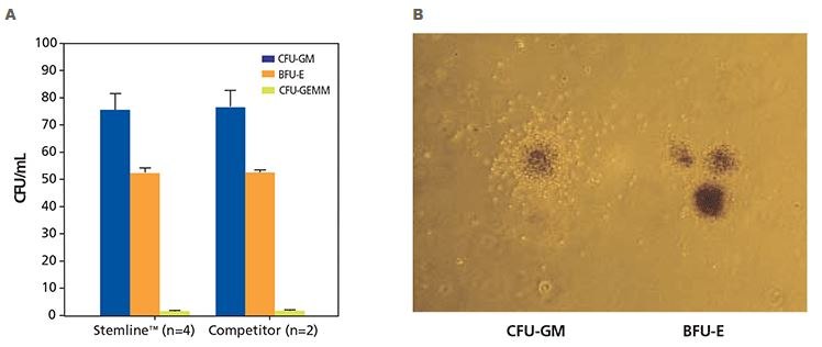 Colony formation unit (CFU) cell assay results of human CD34+ hematopoietic progenitor cells