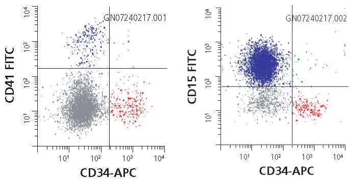 Human hematopoietic stem cell markers analyzed by flow cytometry