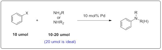 Chemical reaction scheme for Buchwald-Hartwig Amination. The scheme shows a benzene ring with an X substituent reacting with NH2-R or NH2-R2 in the presence of 10 mol% Pd catalyst to form a benzene ring with an amine group (R-NH) attached. The reaction uses 10 umol of the benzene ring and 10-20 umol (20 umol is ideal) of the amine reactant.