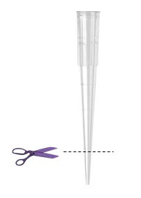 A pair of purple scissors and a transparent pipette aligned vertically above and below a dashed horizontal line.