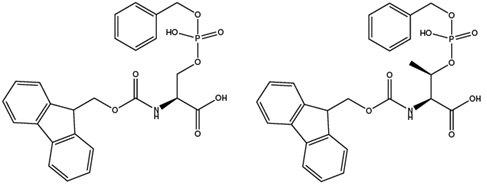 Step-wise synthesis of phosphoserine and threonine 