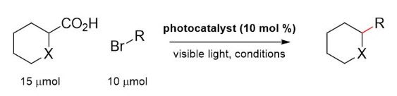 Step-by-Step Guide for KitAlysis™ High-Throughput Photocatalysis Reaction Screening Kit