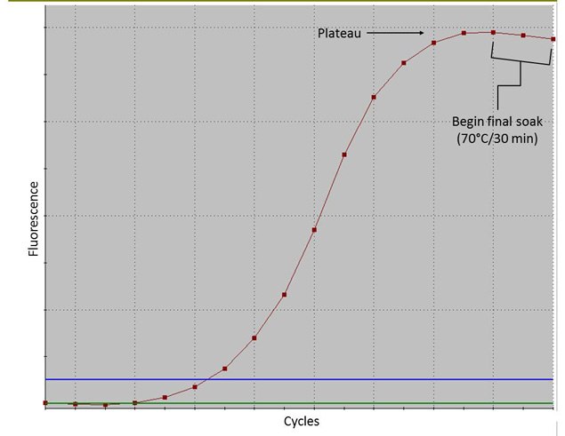 qPCR 幻灯片