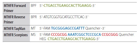 Adaptation of a Dual-Labeled Probe Assay