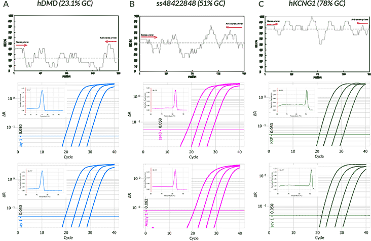 Effect of Different Cycling Protocols