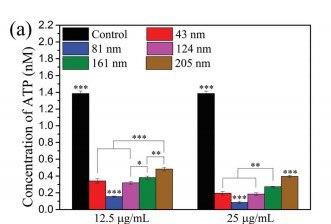 ATP level of S. aureus with different sizes of SeNPs.