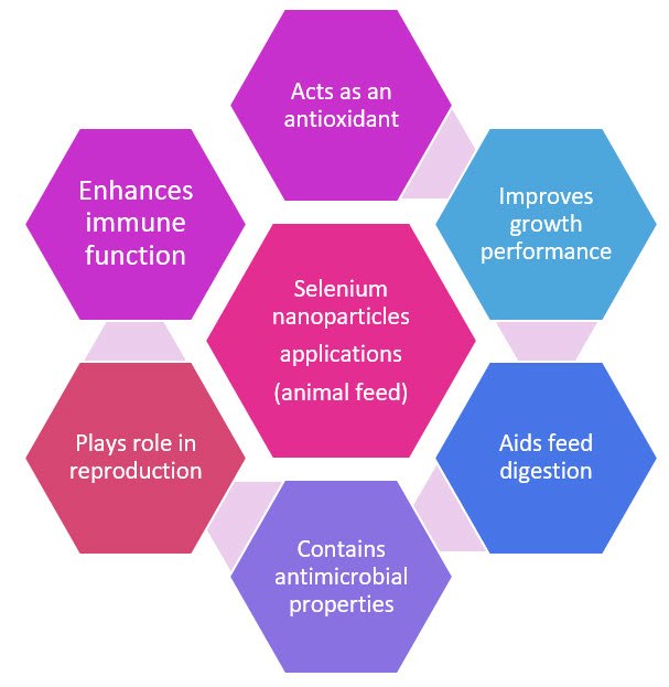 Applications of selenium nanoparticles in animal feeds