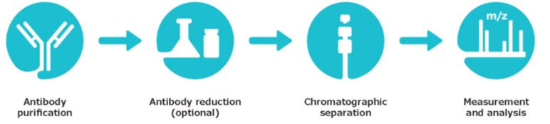 Workflow for Intact and Middle-Up Mass Analysis of Adalimumab