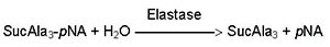 Enzymatic Assay of Elastase