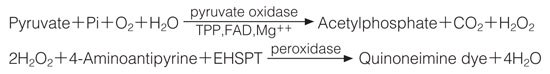 Pyruvate Oxidase Bacterial