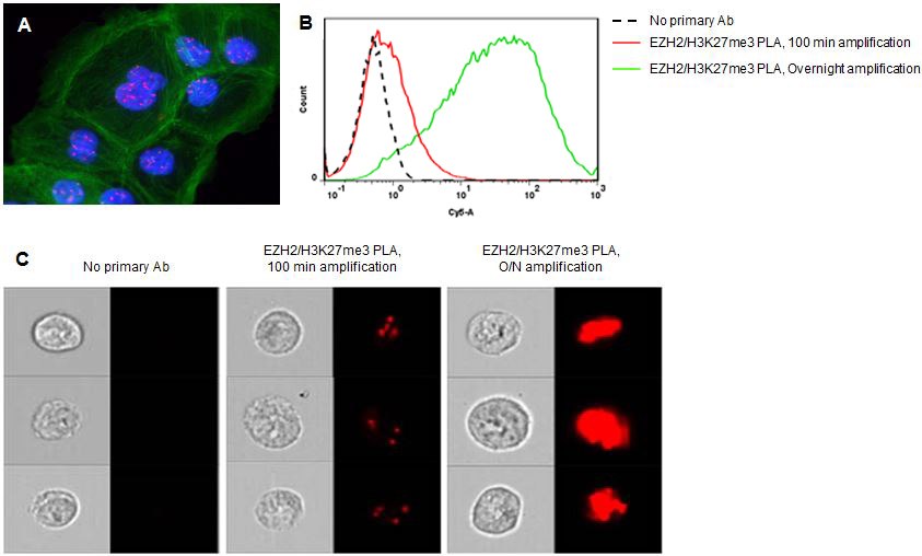 Flow Cytometry Analysis