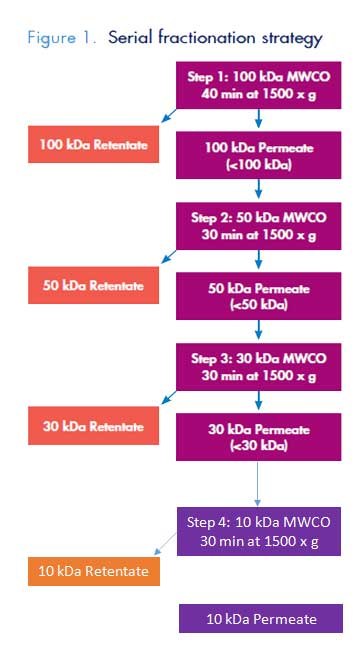 serial fractionation strategy