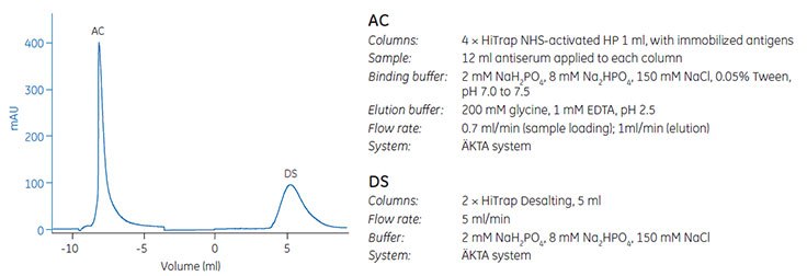 Elution of puriﬁed antibody